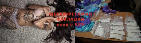 ПСИЛОЦИБИНОВЫЕ ГРИБЫ Бородино