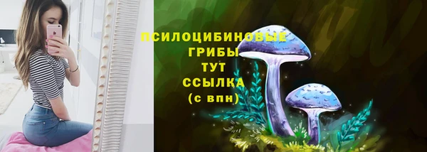 мет Тутаев