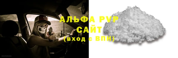 ПСИЛОЦИБИНОВЫЕ ГРИБЫ Бородино