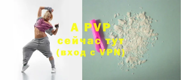ПСИЛОЦИБИНОВЫЕ ГРИБЫ Бородино