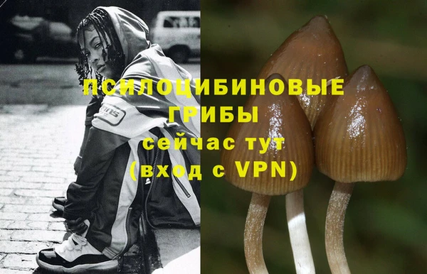 соль курить ск Бугульма