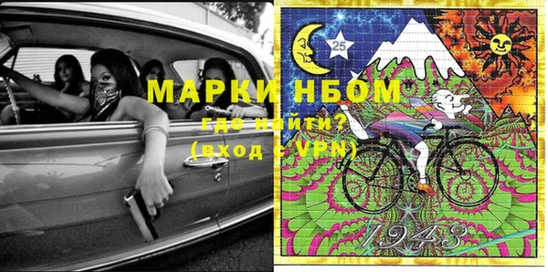 ПСИЛОЦИБИНОВЫЕ ГРИБЫ Бородино