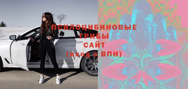 ПСИЛОЦИБИНОВЫЕ ГРИБЫ Бородино
