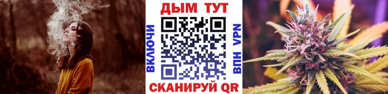 Канабис MAZAR  Семёнов 